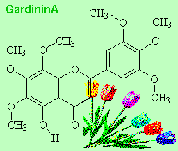 GardeninA - click for 3D structure