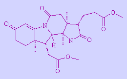 Corrnersterone - click for 3D molecule