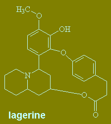 Lagerine - click for 3D structure