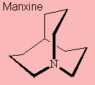 Manxine - click for 3D structure