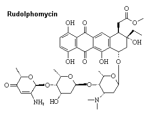 Rudolphomycin - the red nosed antibiotic
