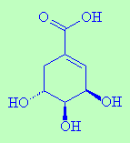Shikimic acid - click for 3D structure