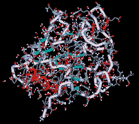 Sonic the molecule - click for 3D structure