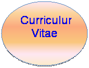 Oval:  Curriculum Vitae
