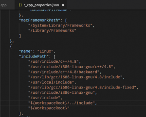  c_cpp_properties.json