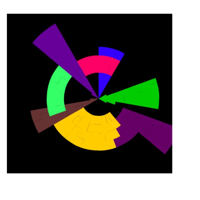 circulo2