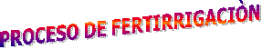 PROCESO DE FERTIRRIGACI�N